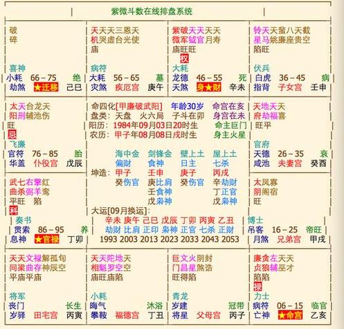 紫微斗数免费命盘精准详解紫薇斗数命盘查询-卜安居