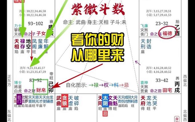 紫微斗数实战学员教学盘《看你的财从哪里来》