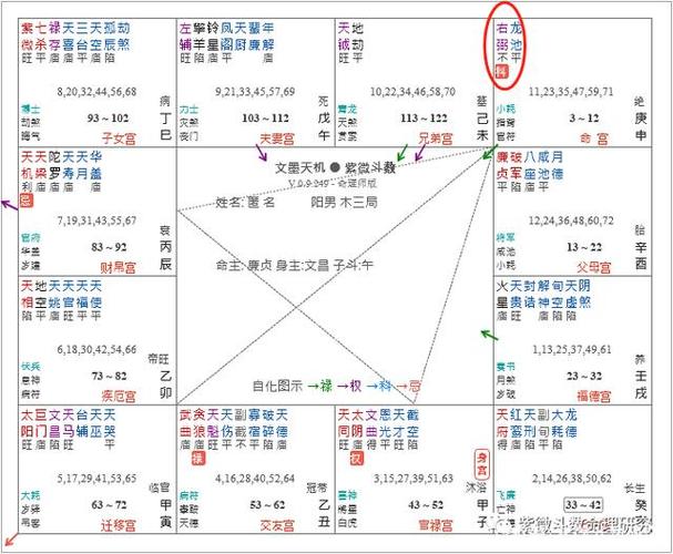 紫微斗数全书 善福居空位,天竺生涯.辅弼单守命宫,离宗庶出