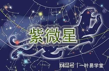 紫微星基本星情揭秘