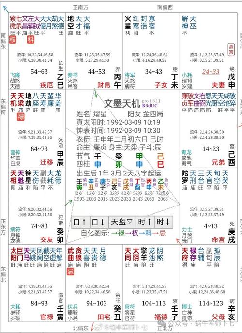 紫微斗数超话  抽奖命盘实战61第10篇    壬年·空戌对机梁  熠星