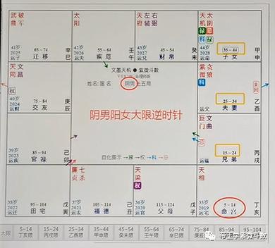 飞星派紫微斗数