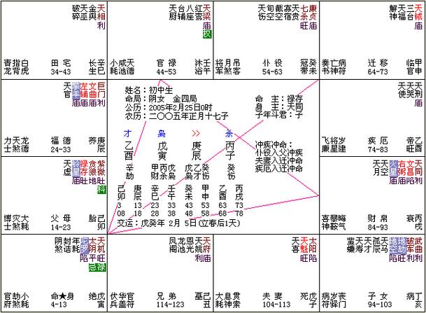 紫微斗数预测案例(十三)--患抑郁症的初中生