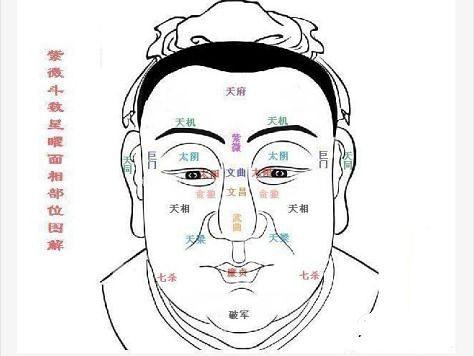 紫微斗数看面相