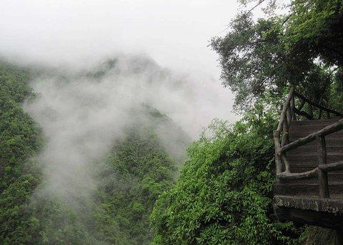 衢州景点排名第90%去过衢州的驴友来过这里紫微山国家森林公园ziwei