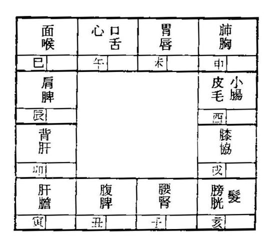 紫微斗数与身体