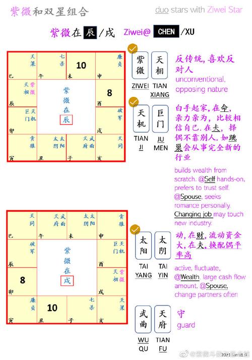 飞星派紫微斗数##紫微斗数