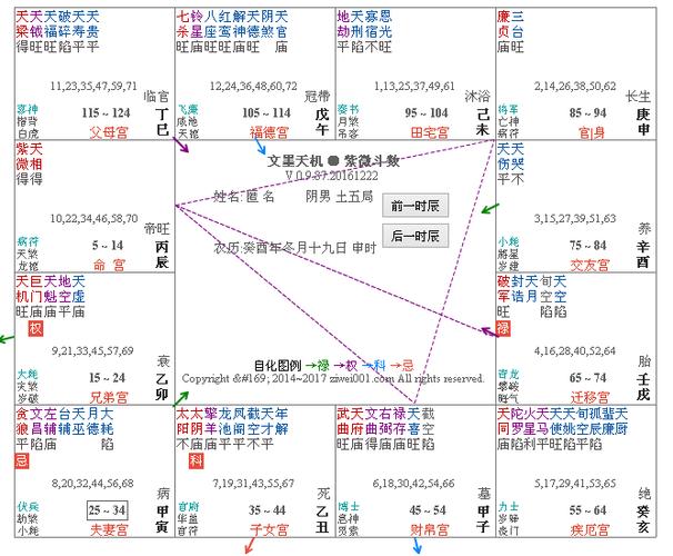 紫微斗数命盘解析实例:九三年阴男,紫相在辰