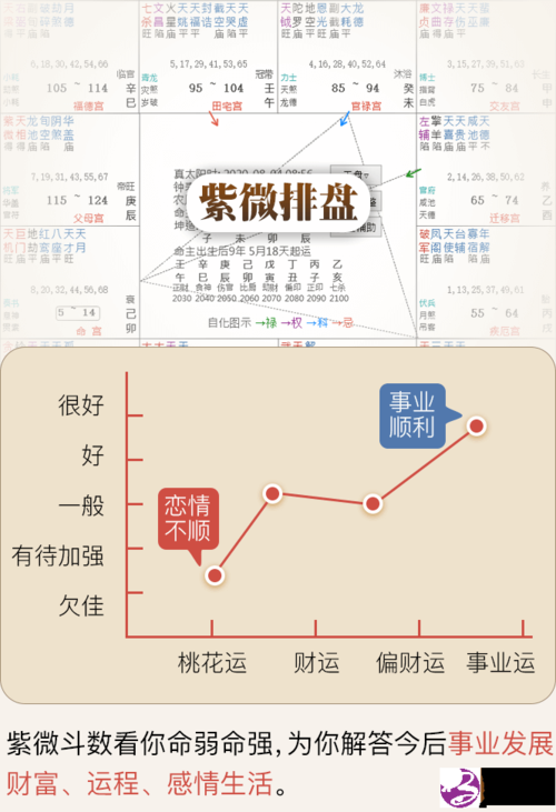 2023年紫微斗数命格详批,2023年紫微斗数详批