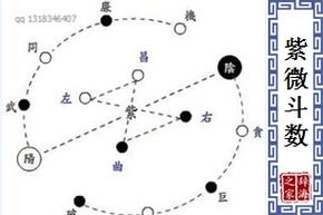 【紫微斗数】的意思和解释