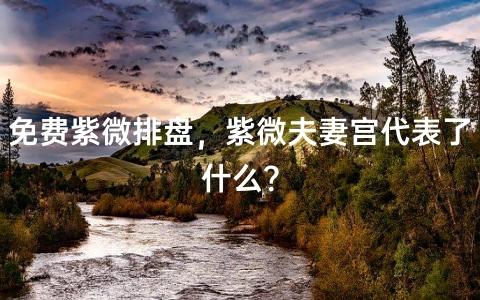 免费紫微排盘,紫微夫妻宫代表了什么?