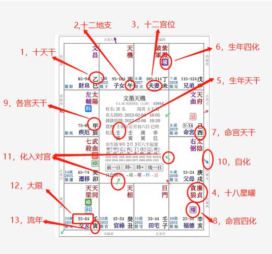 2023年飞星群英会 ① | 认识紫微斗数命盘 下集