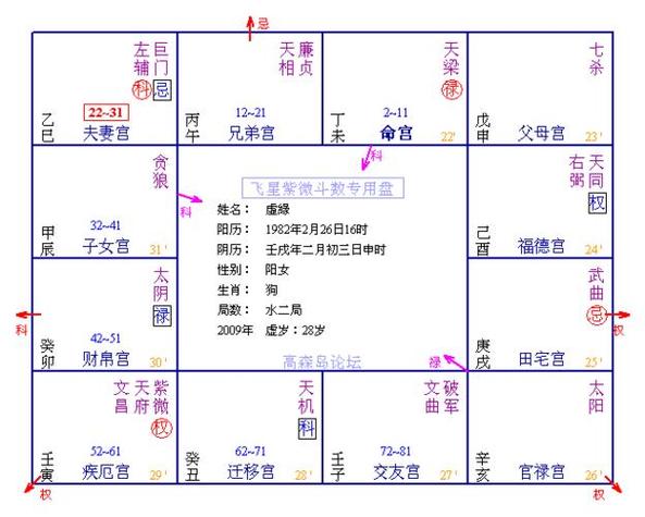 飞星紫微斗数,第三课—第六节:四宫交禄