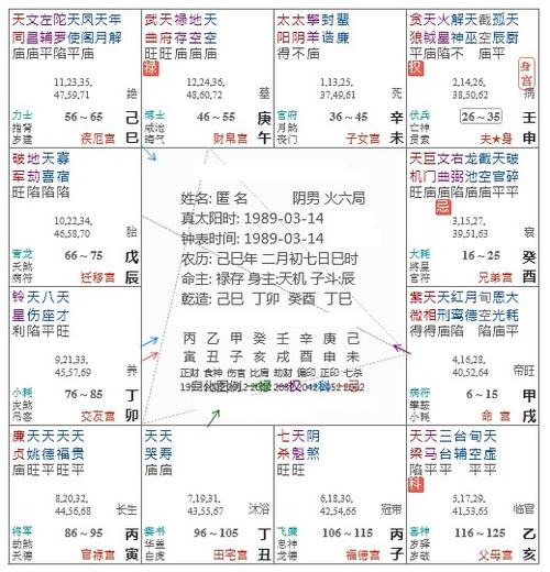 己年命宫在戌宫紫微星在戌宫-事业心比较强