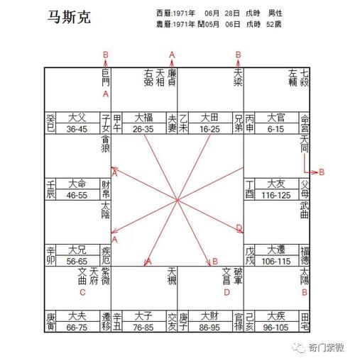 马斯克八字紫微斗数(南半球八字正确排盘法)