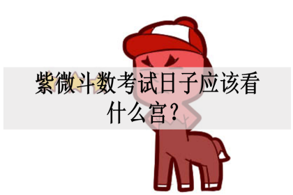 紫微斗数考试日子应该看什么宫?