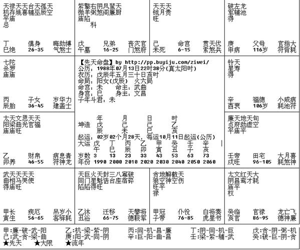 求大师看紫微斗数命盘,看婚姻和事业,谢谢