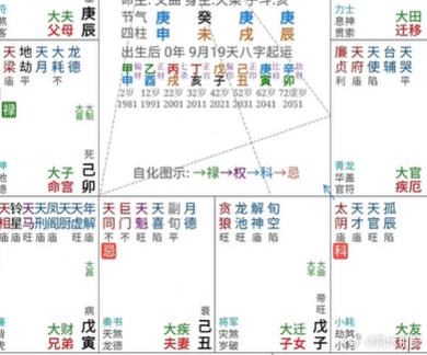 说个紫薇斗数里面桃花旺的,【种马】格局,【泛水桃花格】