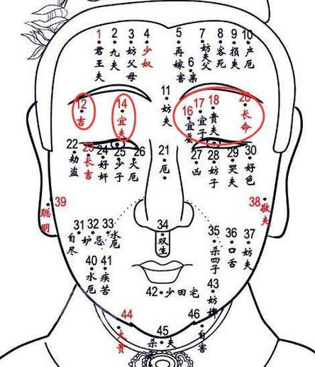 田宅宫指的是什么