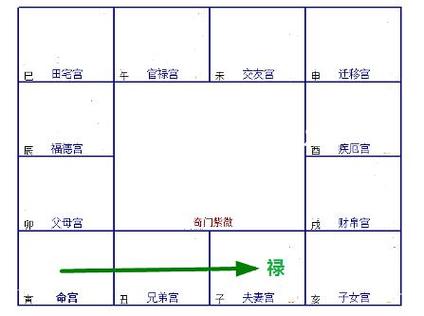 七杀星临财帛宫的人命最好的生肖