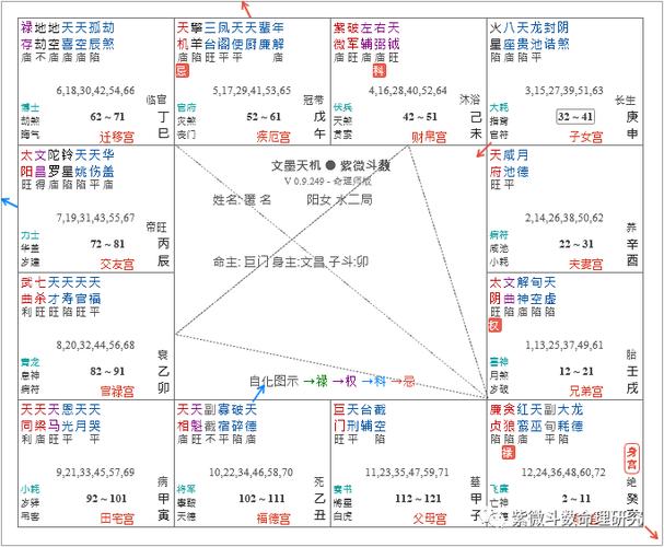 紫微斗数全书太微赋贪居亥子名为犯水桃花刑遇贪狼号曰风流彩杖