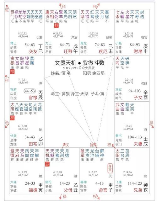 付刚:紫微斗数论命格局八法