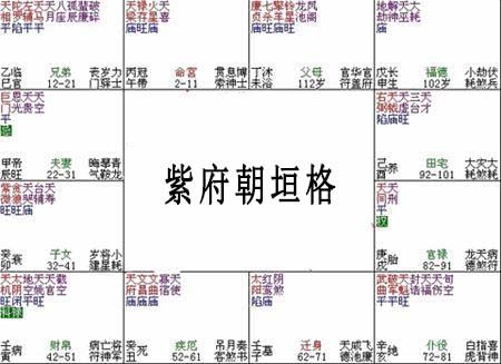 紫微斗数富贵格局紫府朝垣格详解