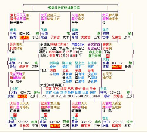 廉贞破军入命宫