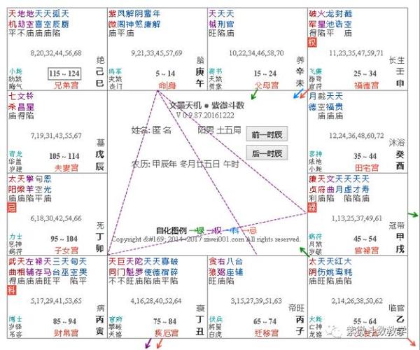 紫微斗数格局极向离明格辅弼拱主格