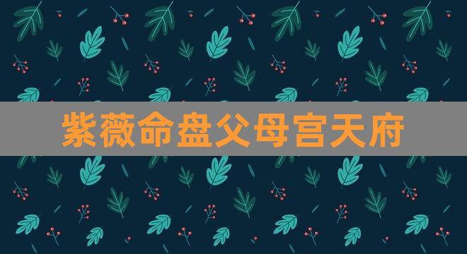 紫薇命盘父母宫天府(紫微斗数114种命盘格局图解)