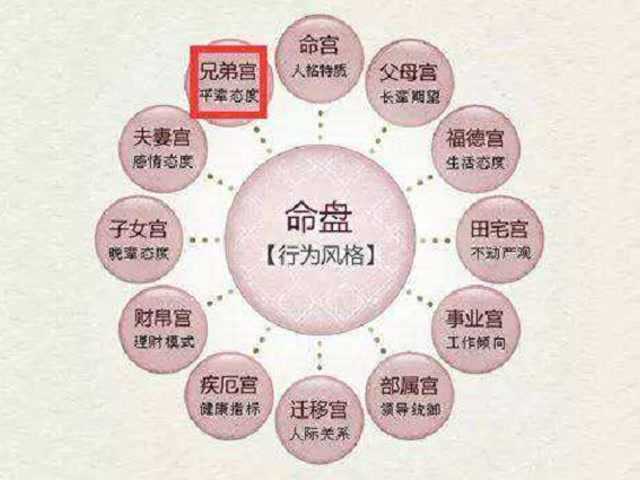 紫微斗数入门_第8集_教你从命盘中看人的长相