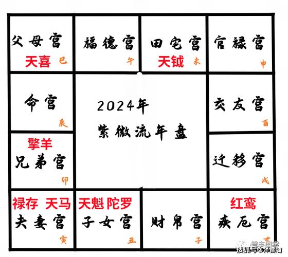 2024年紫微流年盘详解,紫微斗数看2024年运势_太阳_行业_感情