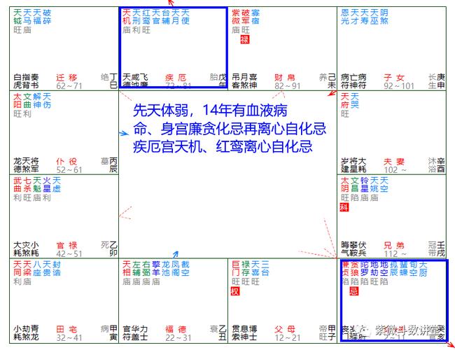 紫微斗数星曜发凶取象