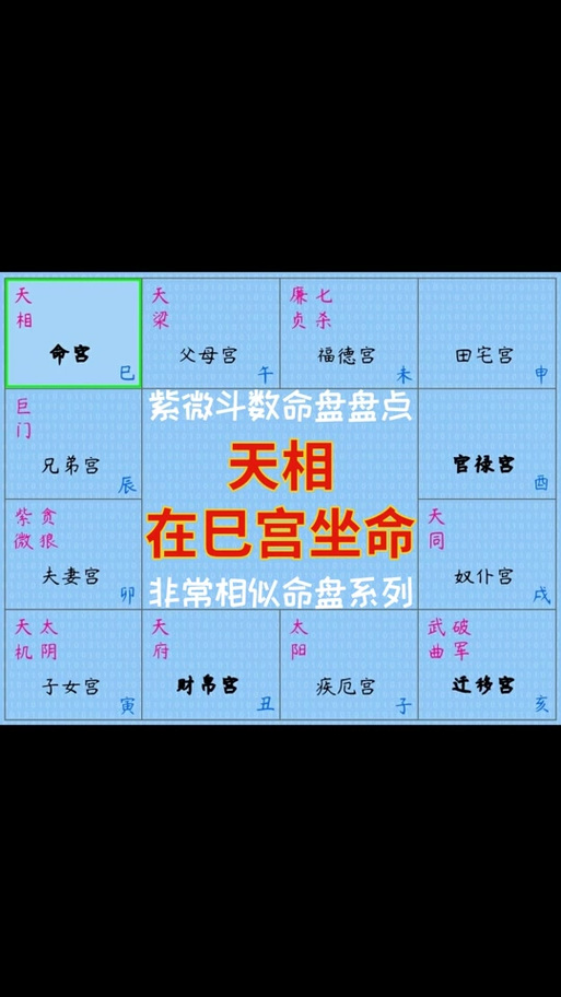 天相在巳宫坐命宫(紫微斗数非常相似命盘盘点) 农历1924至2043年(共