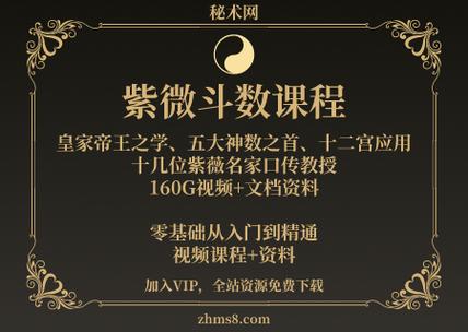 紫微斗数课程合集160g,王亭之,令东来,魏宏卿,陈龙羽,梁若瑜等