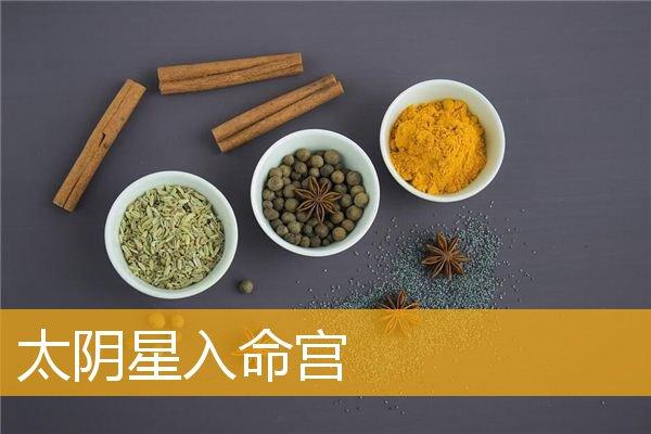 太阴星入命宫