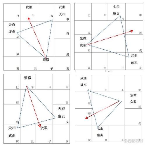 本篇起我们开始介绍紫微斗数的星曜,正如前文所说,这是最重要的基本功