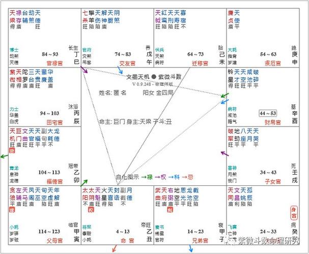 炎一用紫微斗数看智商和术数天赋