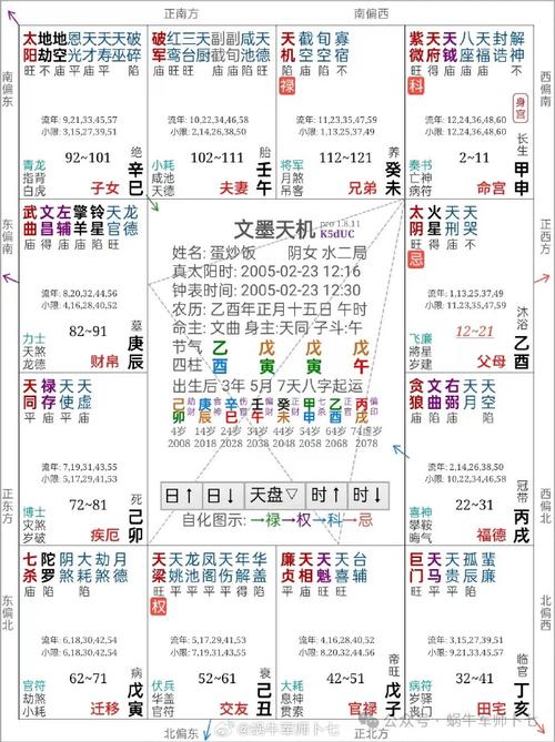 紫微斗数超话  抽奖命盘实战61第9例  乙年·紫府在申    蛋炒饭