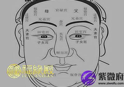 面相十二宫是什么面相十二宫介绍-紫微府