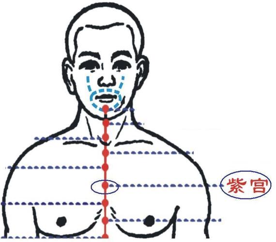 即紫微宫,星名,古代认为系天帝之座.穴近心而与心相关,故名.