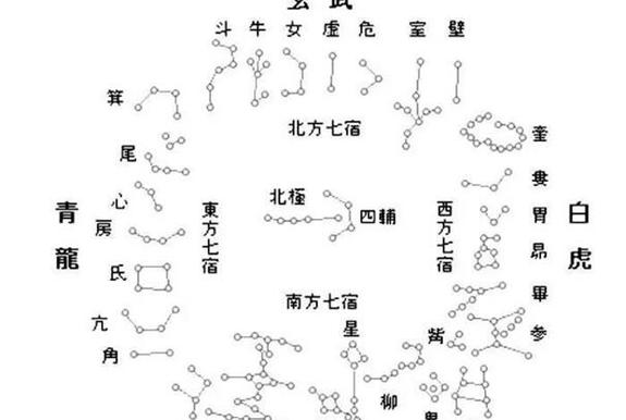 紫微指的就是紫微斗数,而天相星则是紫微斗数当中的星宿之一,如果这