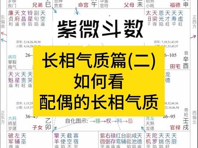 《看配偶的长相》紫微斗数实战学员命盘教学