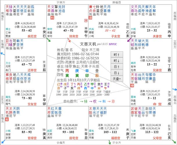 紫微斗数学习笔记 -- 十种忌星技法