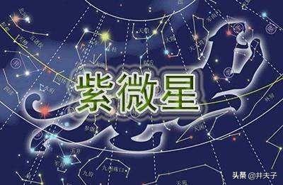 紫薇星怎么样紫微星