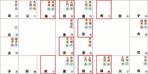 紫微命盘解析——天府星在巳,亥宫坐守命宫