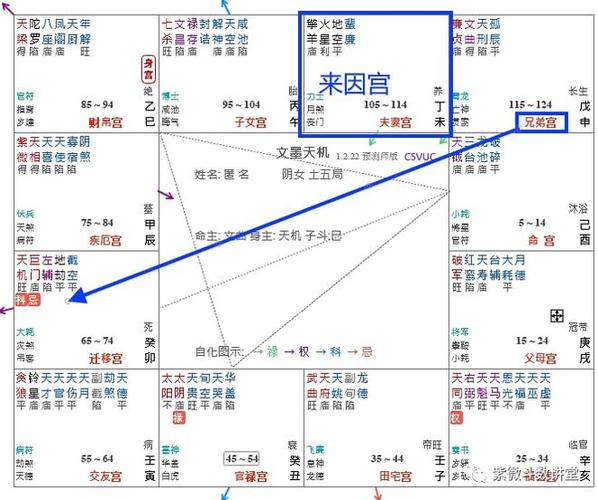 紫微斗数案例小儿麻痹来因宫的应用