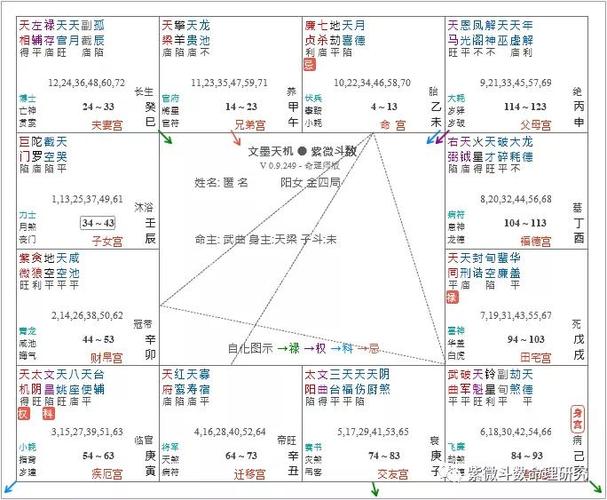 紫微斗数全书太微赋七杀廉贞同位路上埋尸破军暗曜同乡水中作冢