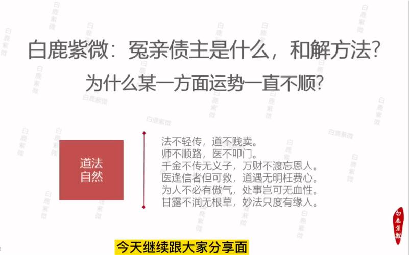 109白鹿紫微斗数从0到1冤亲债主是什么意思怎么处理现代社会应如何