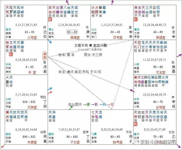 紫微斗数全书 太微赋 七杀廉贞同位,路上埋尸.破军暗曜同乡,水中作冢